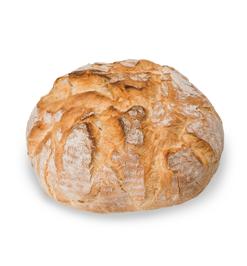 bread isolated 1 e1678109825969